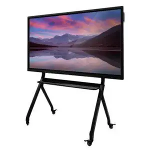 75" Commercial Display Panel